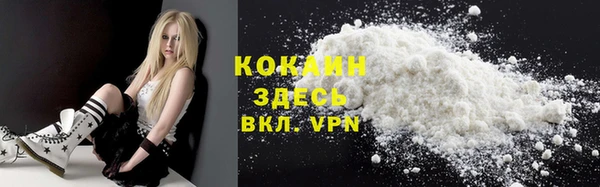 ГАЛЛЮЦИНОГЕННЫЕ ГРИБЫ Вяземский