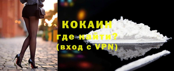 ГАЛЛЮЦИНОГЕННЫЕ ГРИБЫ Вяземский