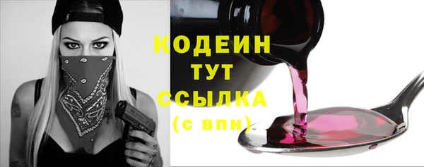 ГАЛЛЮЦИНОГЕННЫЕ ГРИБЫ Вяземский