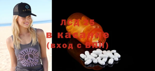 ГАЛЛЮЦИНОГЕННЫЕ ГРИБЫ Вяземский