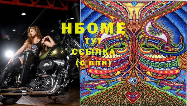 ГАЛЛЮЦИНОГЕННЫЕ ГРИБЫ Вяземский