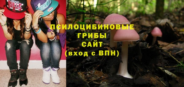 ГАЛЛЮЦИНОГЕННЫЕ ГРИБЫ Вяземский