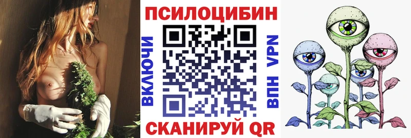Галлюциногенные грибы Psilocybe  Купить где  Куса 
